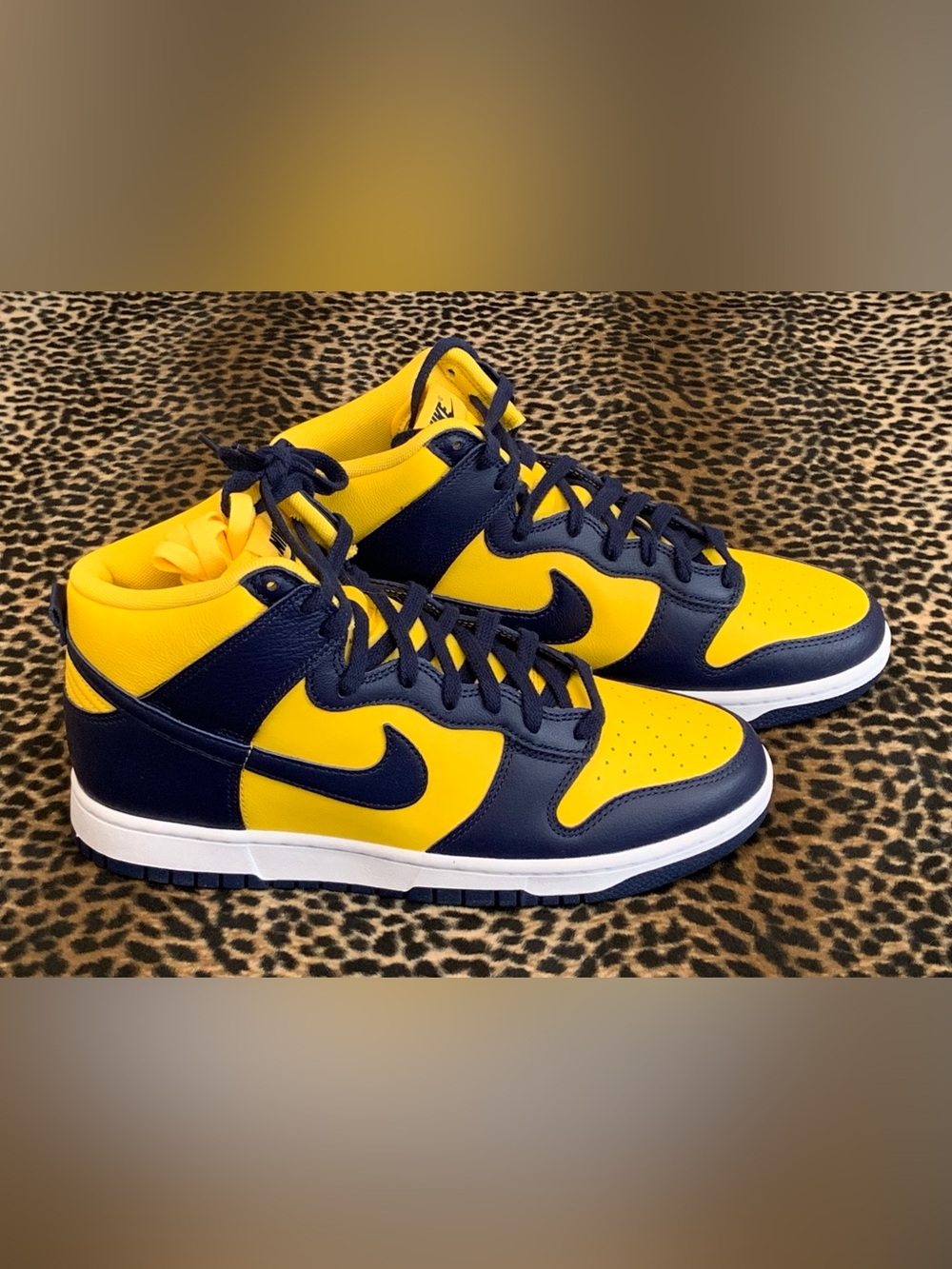 Nike Dunk Hi Retro
